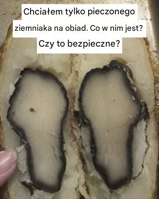 Dlaczego ziemniaki czasami mają czarne pierścienie w środku? Zrozumieć przyczynę i co z tym zrobić