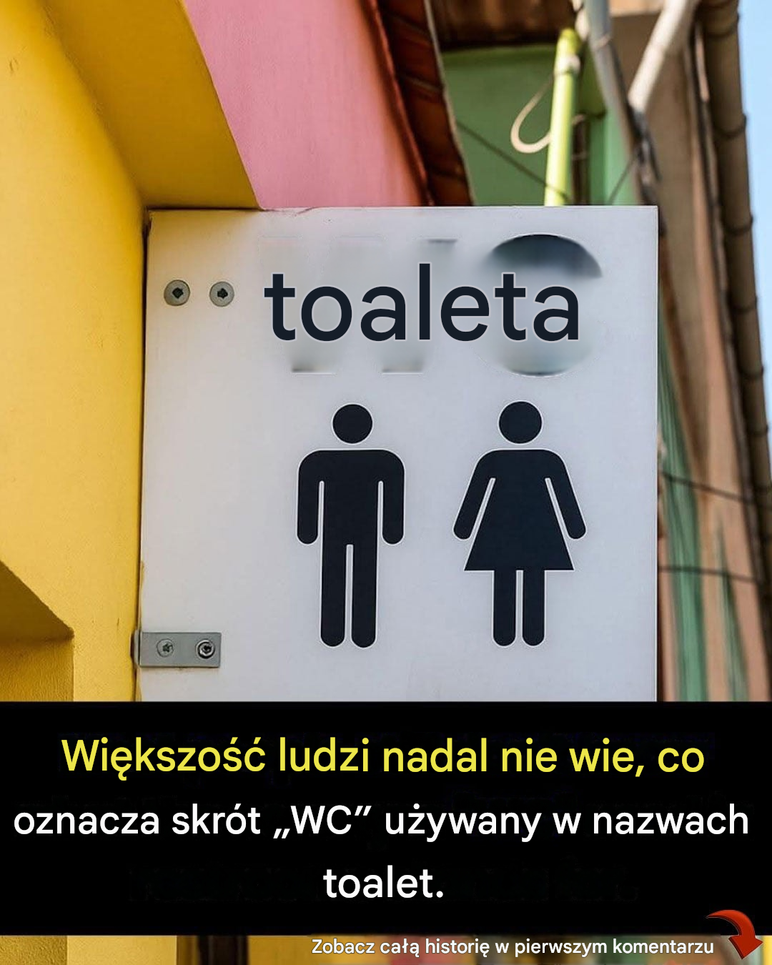 Niektórzy ludzie dopiero teraz zdają sobie sprawę, co oznacza znak „WC” umieszczony w toaletach