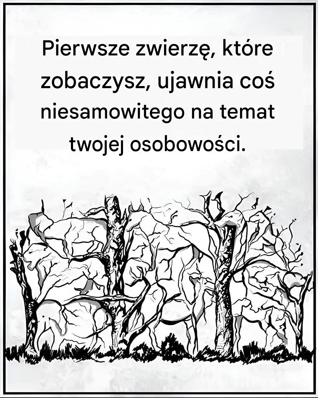 Pierwsze zwierzę, które zobaczysz, ujawnia coś niesamowitego na temat twojej osobowości.