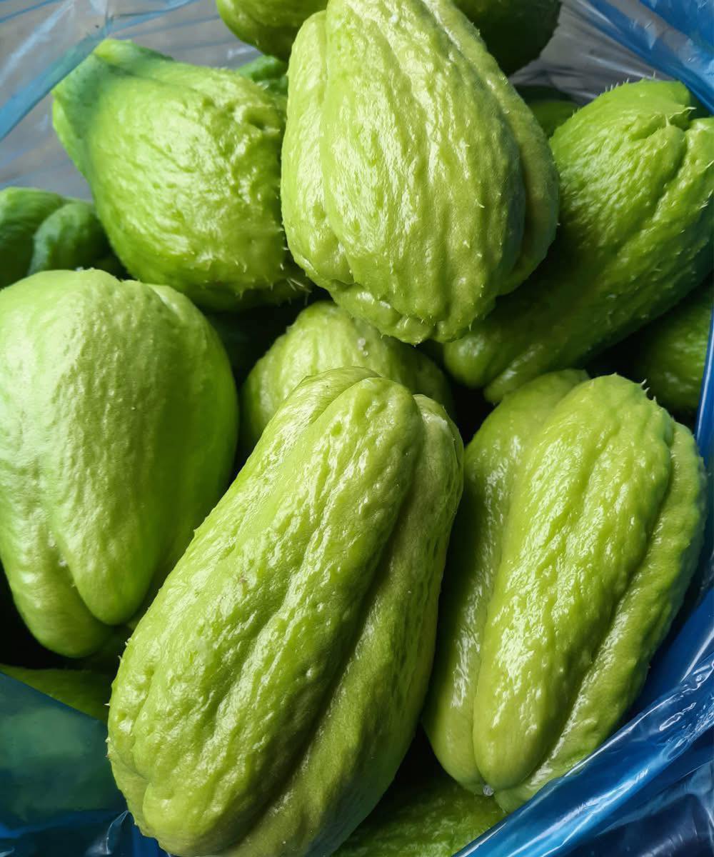 Lekarze ujawniają, że spożywanie chayote powoduje…
