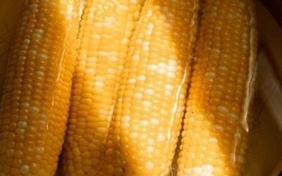 Ile czasu trzeba gotować kolbę kukurydzy, aby uzyskać idealną konsystencję?