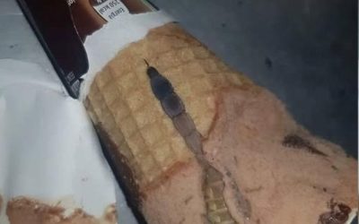 Dzisiaj moja córka otworzyła swoje ulubione lody czekoladowe