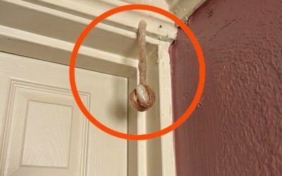 Mój mąż i ja zarezerwowaliśmy pokój na wakacje. W pokoju hotelowym odkryłam to.