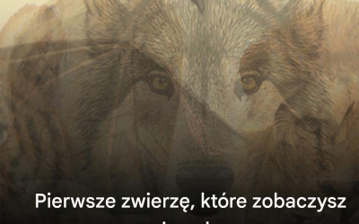 Czy pierwsze zwierzę, które zobaczysz, zdradza cechy twojej osobowości? Test wizualny staje się viralem.