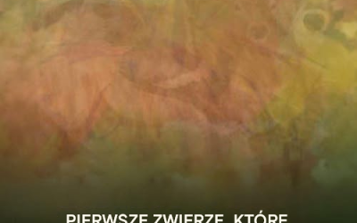 Pierwsze zwierzę, które zobaczysz na tym obrazku, powie Ci, jakiej osoby potrzebujesz w swoim życiu!