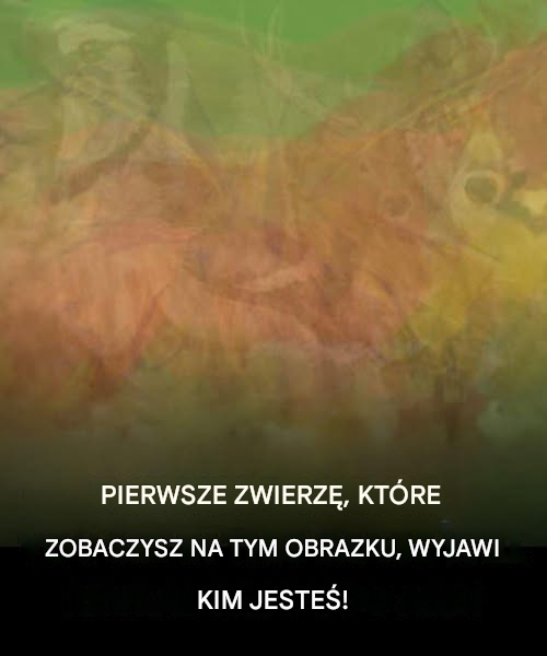 Pierwsze zwierzę, które zobaczysz na tym obrazku, powie Ci, jakiej osoby potrzebujesz w swoim życiu!