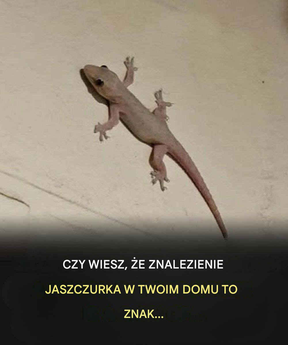 Co oznacza znalezienie jaszczurki w domu? Zaskakująca prawda