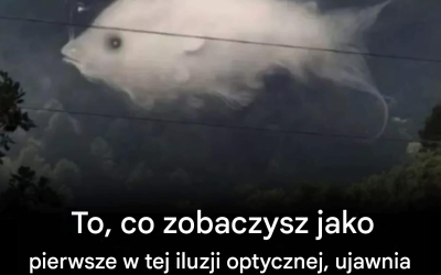 Test wizualny: to, co widzisz jako pierwsze, ujawnia cechy twojej osobowości.