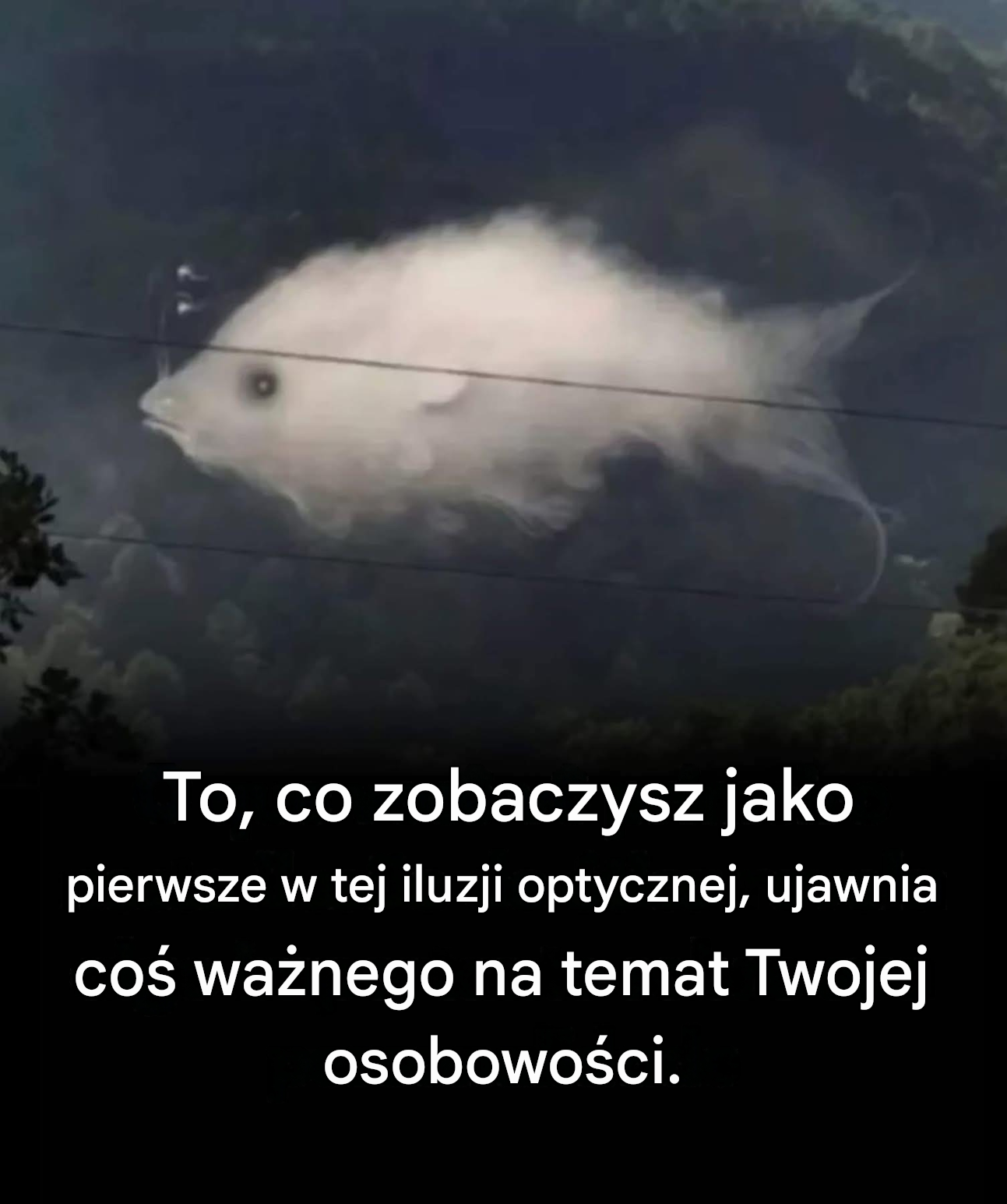Test wizualny: to, co widzisz jako pierwsze, ujawnia cechy twojej osobowości.