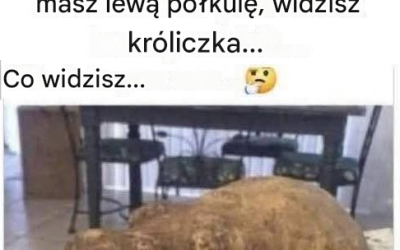 Magiczna iluzja ziemniaka