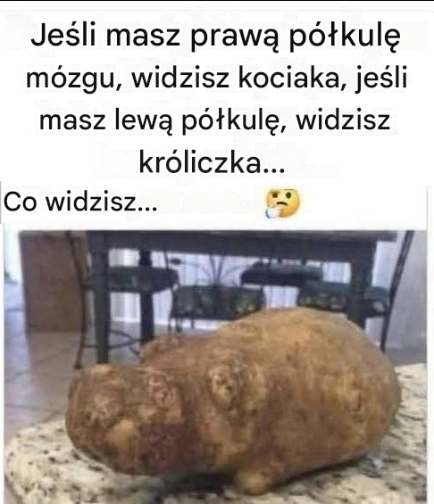 Magiczna iluzja ziemniaka