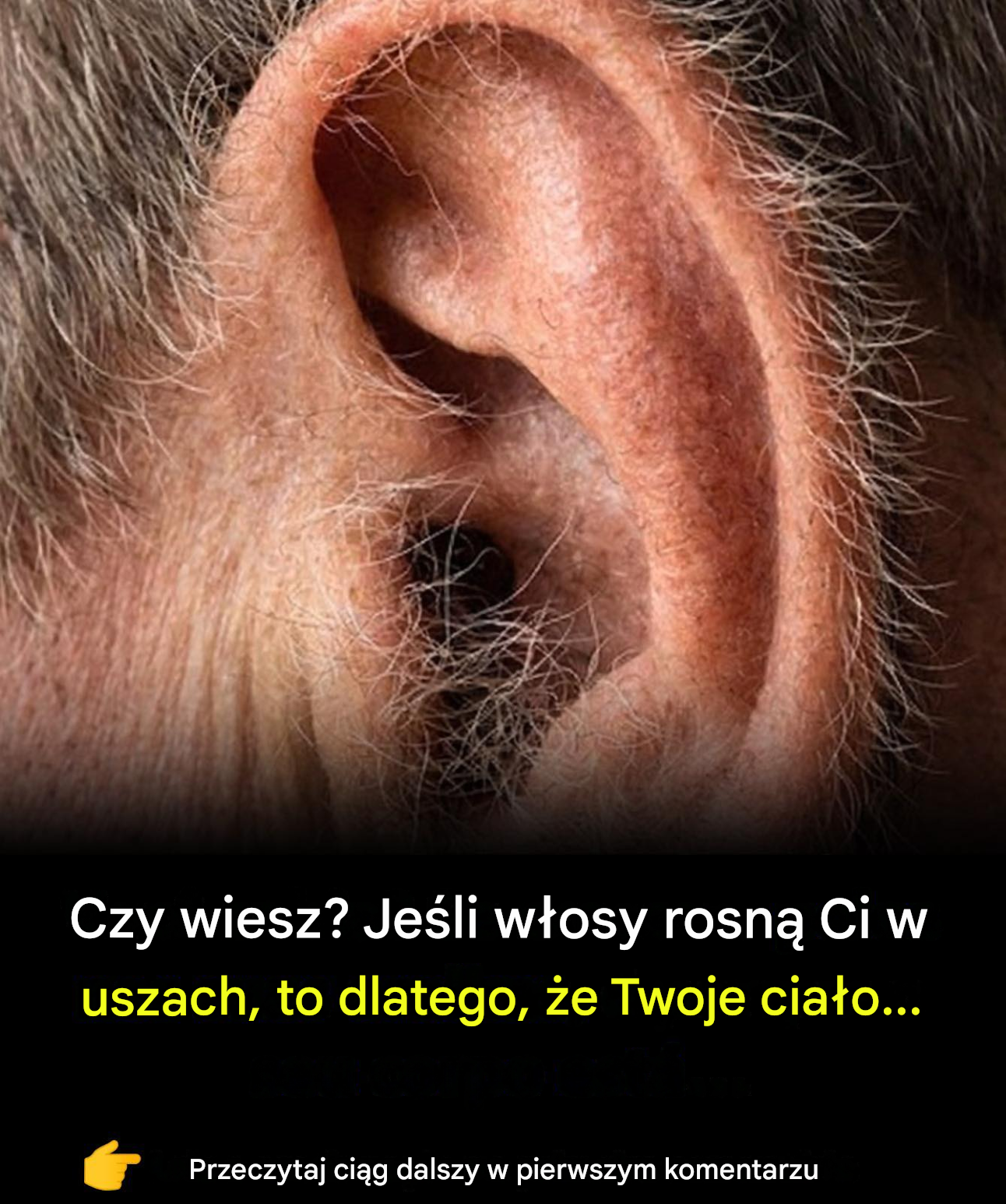 Czy wiesz? Jeśli włosy rosną Ci w uszach, to dlatego, że Twoje ciało…