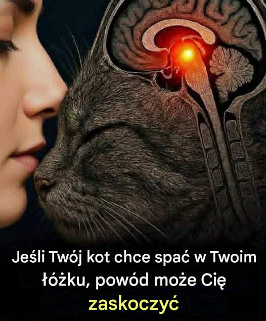 Ten szczegół nie jest niewinny… i mało kto o tym wie