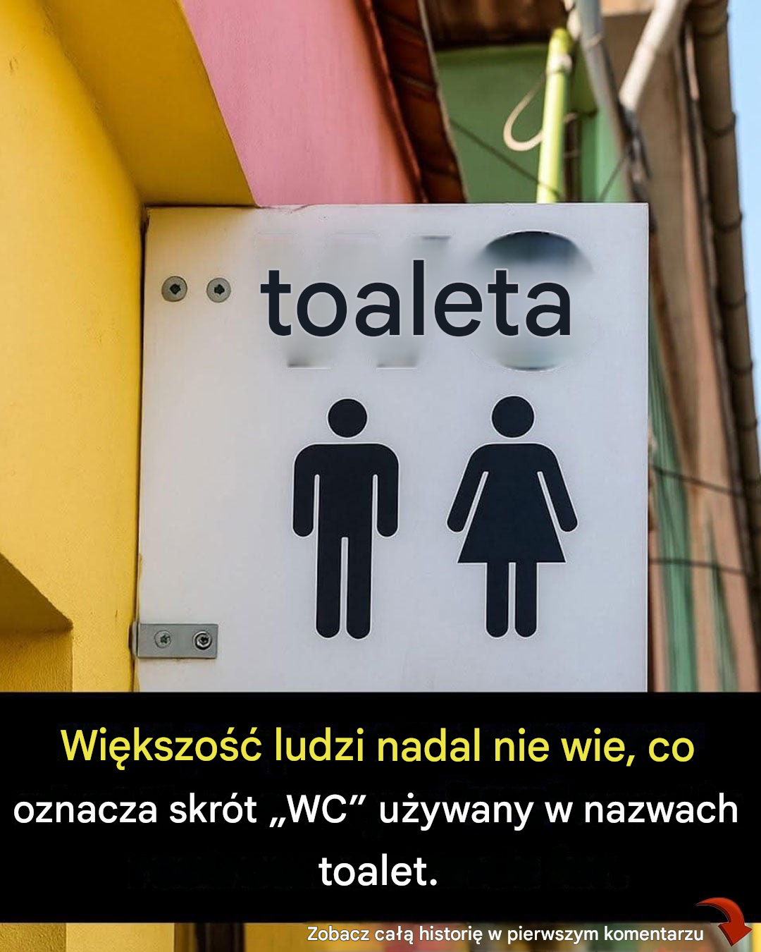 Niektórzy ludzie dopiero teraz zdają sobie sprawę, co oznacza znak „WC” umieszczony w toaletach