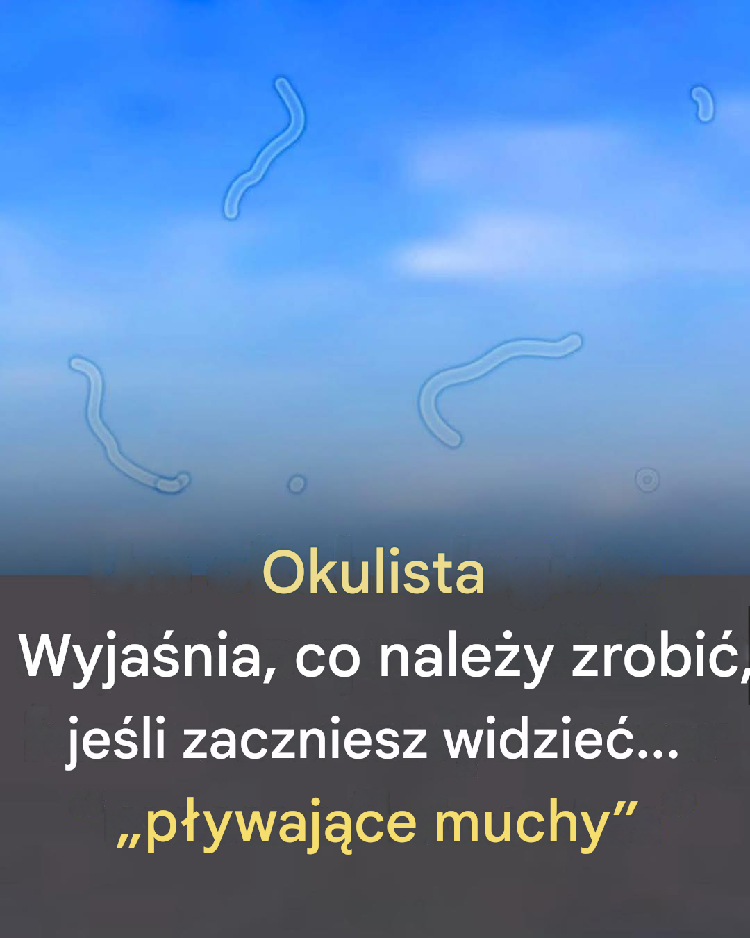 Męty w ciele szklistym: czym są i jak reagować, gdy je zauważysz.